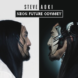 کاور آهنگ The Power of Now از Steve Aoki & Headhunterz