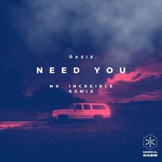 کاور آهنگ Need You (Mr. Increible Remix) از Oasis