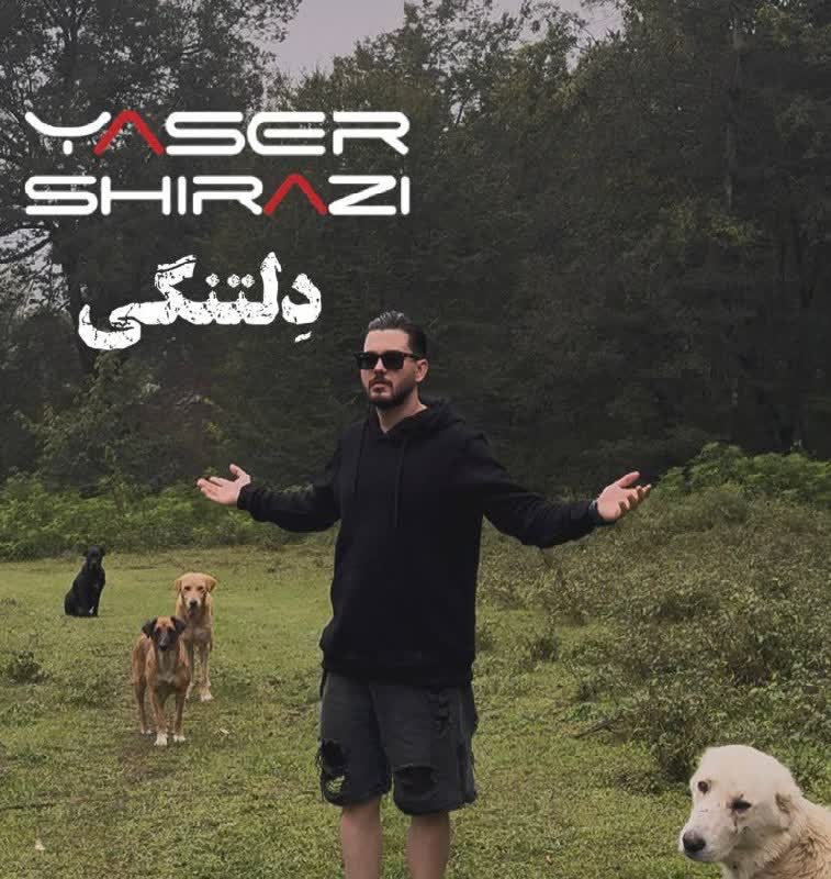 کاور آهنگ Yaser Shirazi - Deltangi از Yaser Shirazi