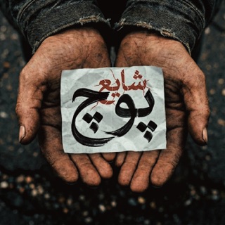 کاور آهنگ Pooch از Shayea