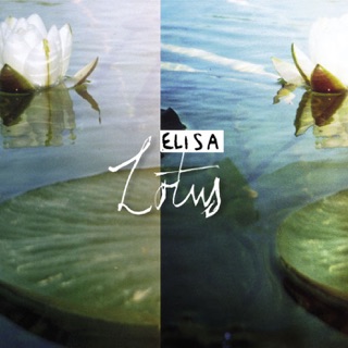 کاور آهنگ Sleeping In Your Hand از Elisa