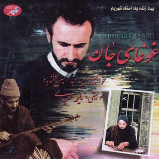 کاور آهنگ Shekaste Sazi از Abdolhosein Mokhtabad