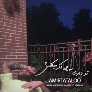 کاور آهنگ Dari Be Chi Fekr Mikoni از Amir Tataloo