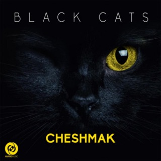 کاور آهنگ Cheshmak از Black Cats