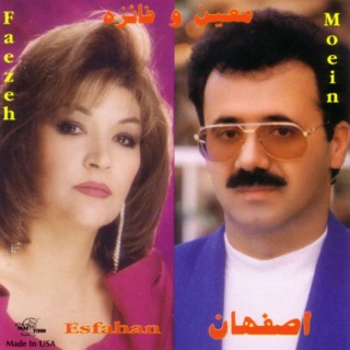 کاور آهنگ Del Shekasteh از Moein
