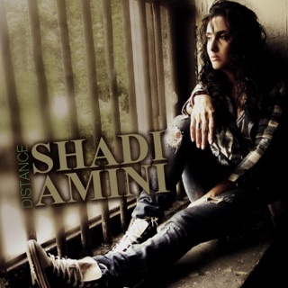 کاور آهنگ Faseleh از Shadi Amini