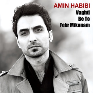 کاور آهنگ Panjareh از Amin Habibi
