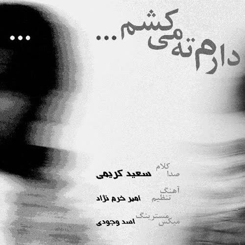 کاور آهنگ Daram Tah Mikesham از Saeed Karimi