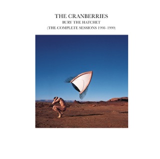 کاور آهنگ Sorry Son از The Cranberries