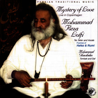 کاور آهنگ Del از Mohammad Lotfi